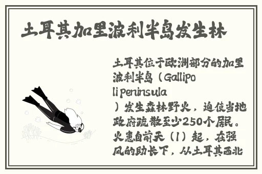 萌萝社破解版